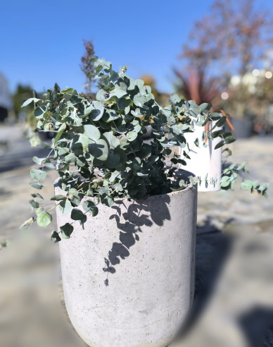 Kvetináč Terratico Fusion Essen S Silver