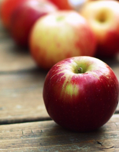 Jabloň ´Gala´ zimná, podp. M9, voľnok.