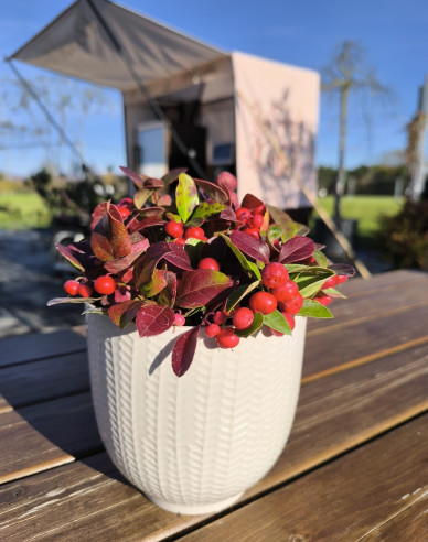 Obal na kvetináč keramický biely s leskom