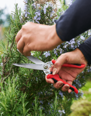 FELCO 456 Univerzálne nožnice