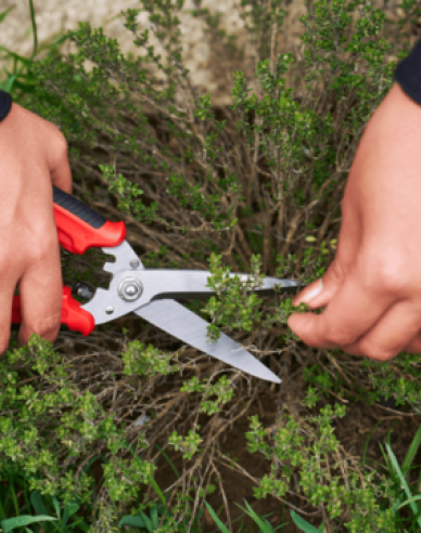 FELCO 456 Univerzálne nožnice