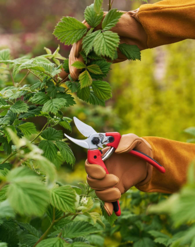 FELCO 171M Nožnice + FELCO 902 brúska