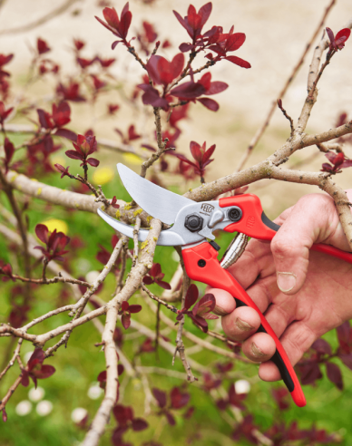 FELCO 171L Nožnice + FELCO 902 brúska