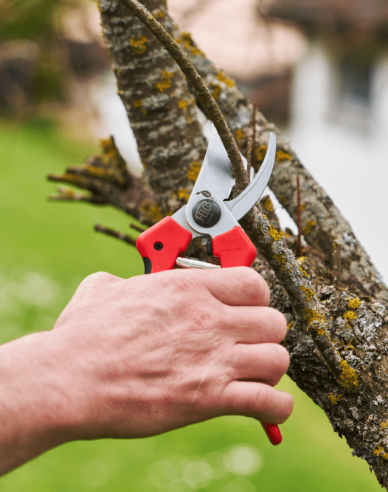 FELCO 171L Nožnice + FELCO 902 brúska