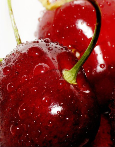 Čerešňa ´KORDIA´ neskorá, podp. Colt, voľnok.