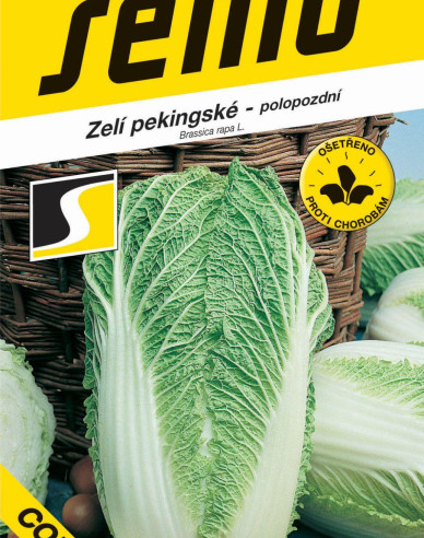 Semo Kapusta pekinská ´Concord F1´