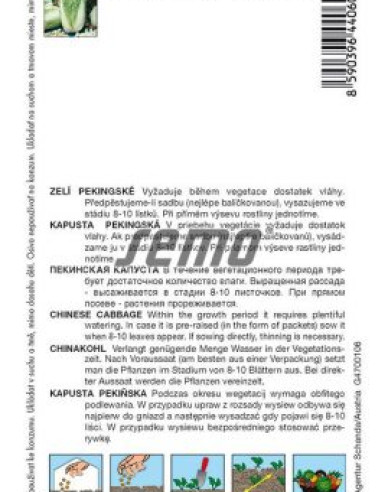 Semo Kapusta pekinská ´Concord F1´