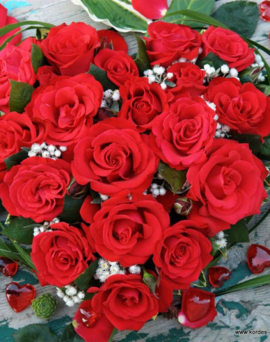 Ruža ´Grand Amore´