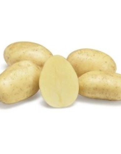 Sadbové zemiaky ´Sylvana´ 5kg