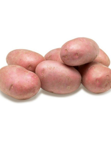 Sadbové zemiaky ´Memphis´ 5kg