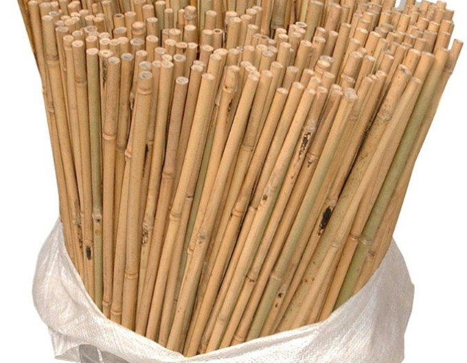 Bambusová tyč 520cm 28/30