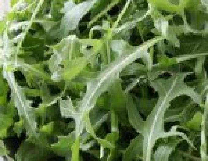 Rukola ´Grazia´