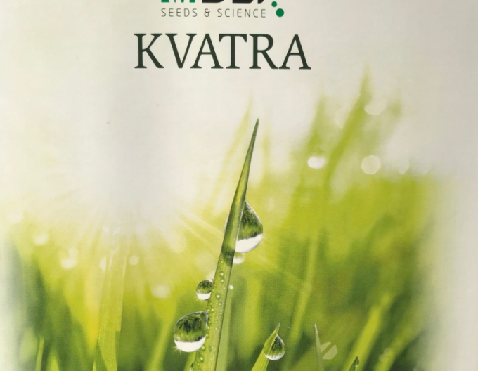 Kvatra Sport Trávové osivo  1kg