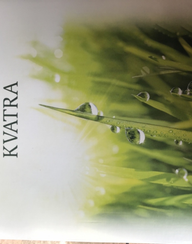 Kvatra Sport Trávové osivo  1kg