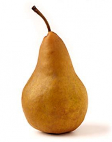 Hruška "Boscova fľaša" jesenná, podp. Dula medzištep Konferencia, voľnok.