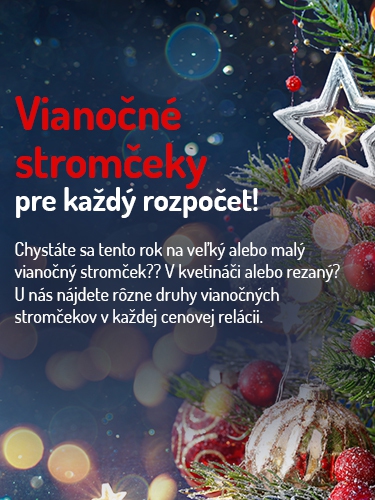 Vianočné stromčeky - Stromo.sk