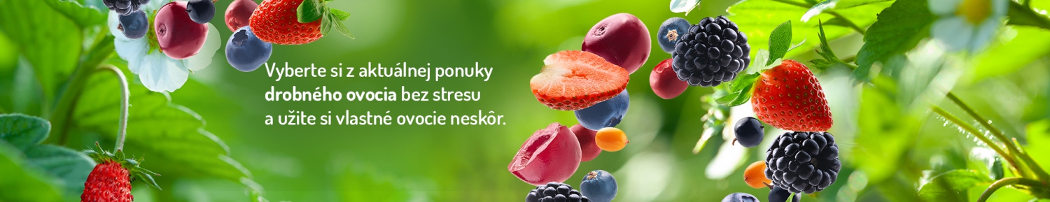Drobné ovovcie - Stromo.sk